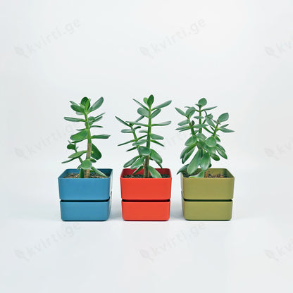 Flowerpot VELETA 9/12cm CORAL