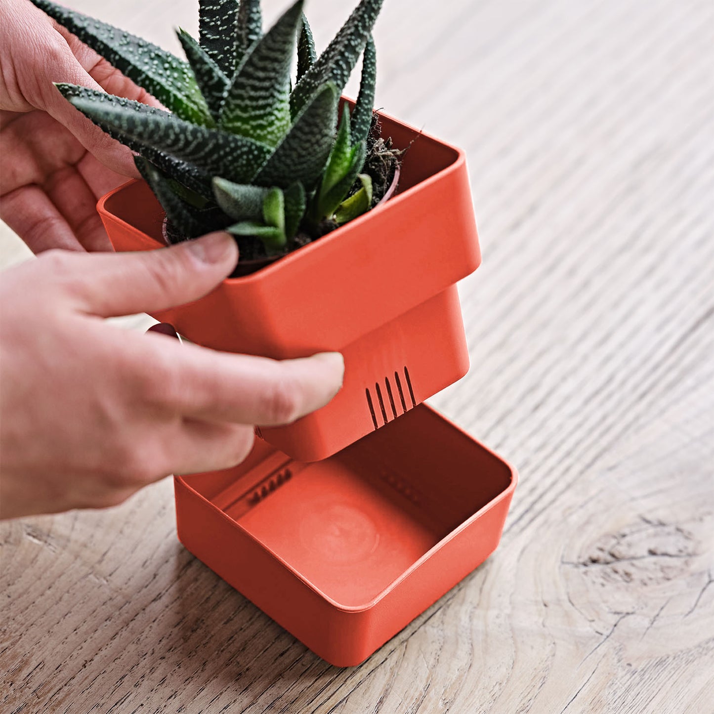 Flowerpot VELETA 9/12cm CORAL