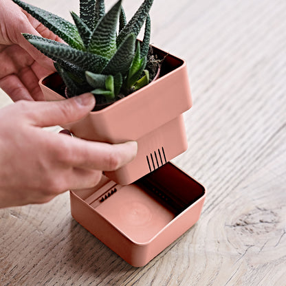 Flowerpot VELETA 9/12cm OLD ROSE