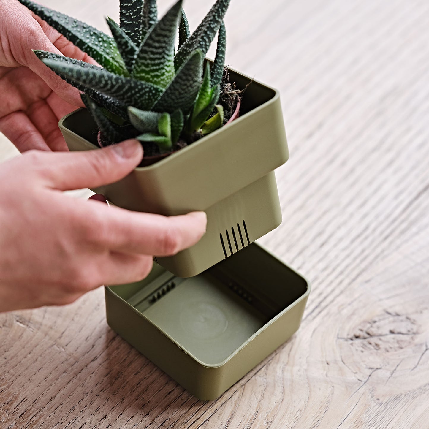 Flowerpot VELETA 9/12cm OLIVE