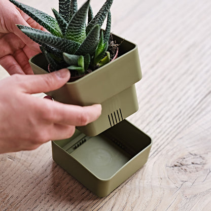 Flowerpot VELETA 9/12cm OLIVE