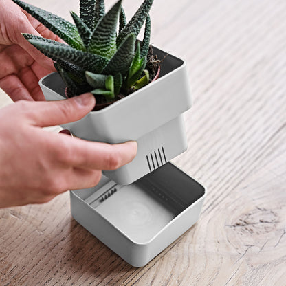 Flowerpot VELETA 9/12cm SNOW