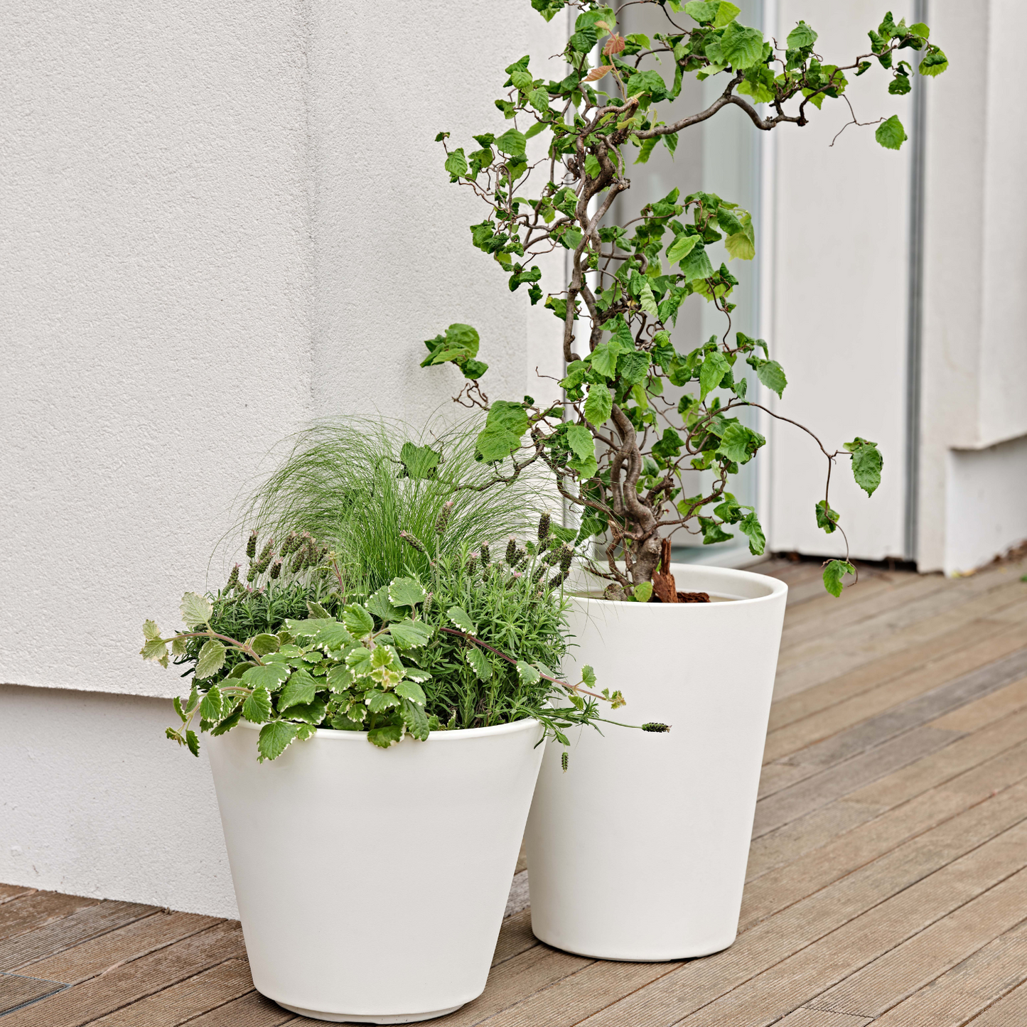 ქოთანი „ზამორა“ ⌀43/50სმ, თეთრი