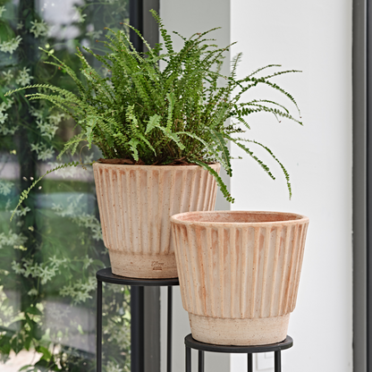 თიხის ქოთანი „ბრონტე“ ⌀19/24სმ, გალესტრო 