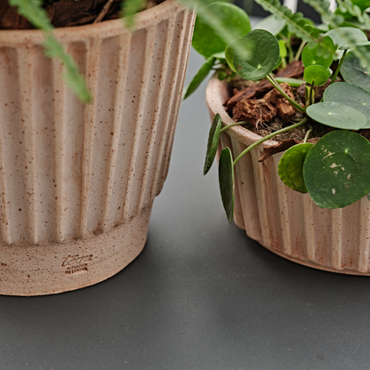 თიხის ქოთანი „მოდიკა“ ⌀26სმ, გალესტრო