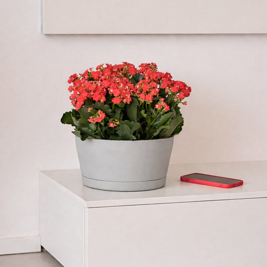 ქოთანი „მირა“ ⌀24სმ, ღია ნაცრისფერი