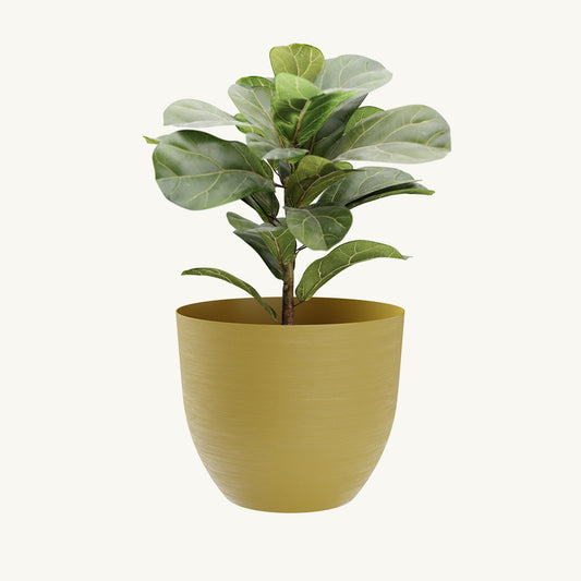 ქოთანი „ოვერი" ⌀28/38/48სმ, მდოგვისფერი