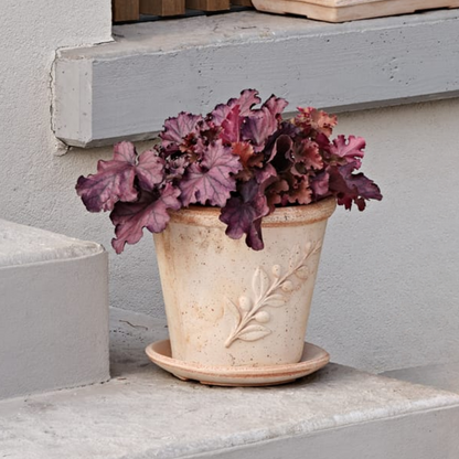 თიხის ქოთანი „სოლეტო" ⌀19/24/29სმ, გალესტრო