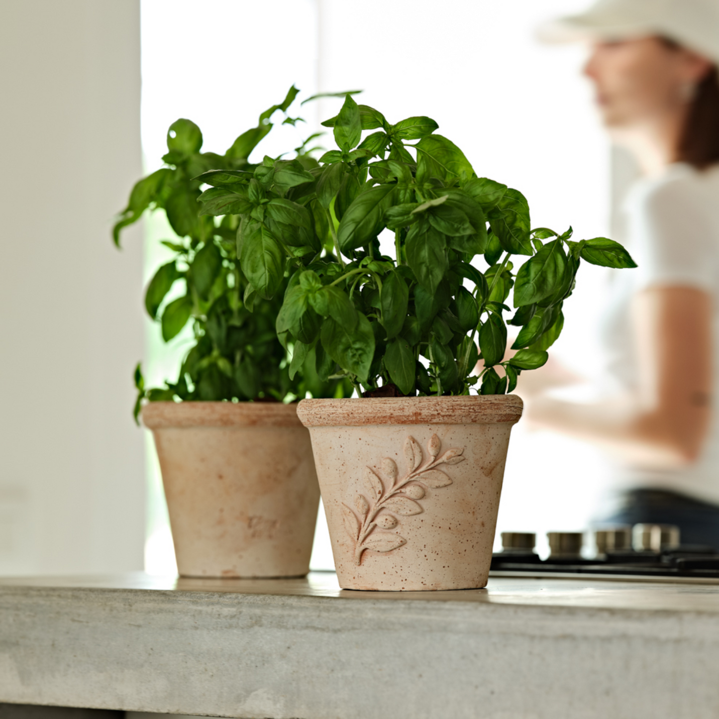 თიხის ქოთანი „სოლეტო" ⌀19/24/29სმ, გალესტრო